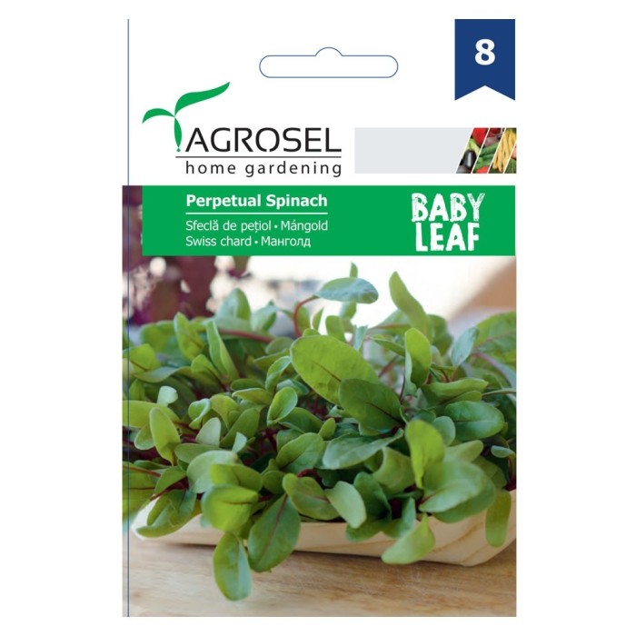 Seminte legume Agrosel, sfecla petiol Perpetual Spinach