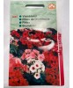 Seminte Flori Phlox Drumondi Nana Compacta Horti Tops, Mix Culori, 0.2g, Anuale, Borduri &amp; Ghivece, Atractie Albine