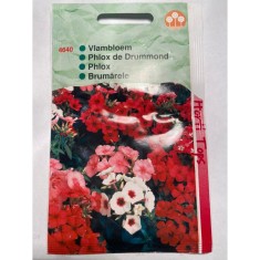 Seminte flori Phlox Drumondi Nana Compacta Horti Tops 0,2 g.