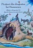Cumpara ieftin Picaturi din dragostea lui Dumnezeu. Sfintii si dragostea lor fata de lumea inconjuratoare - 2016 (BA103)