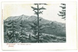 3078 - BRASOV, Mountain, Romania - old postcard - unused