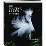 Cumpara ieftin Mating lives of birds