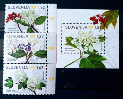Slovenia 2021 flori,plante,flora serie +bloc nestampilat foto
