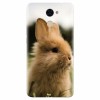 Husa silicon pentru Huawei Enjoy 7 Plus, Cute Rabbit In Grass