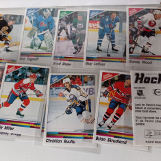 PANINI Hockey 1990-1991 - lot de 30 stickere