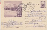 D11 - CPR - Carte postala tematica turism 65 - Masivul Bucsoiu - circulata la 1967