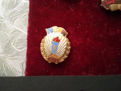 Insigna U.C.F.S. foto
