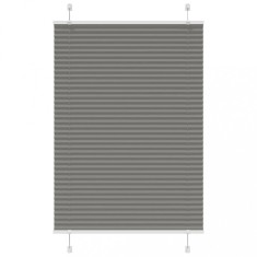 vidaXL Jaluzea plisată Antracit 100x150 cm Lățime țesătură 99,4 cm 4015092