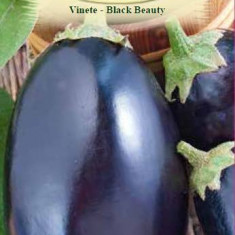 VINETE BLACK BEAUTY, 2 g