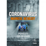 Coronavirus, Inamicul nevazut, Povesti din Wuhan 2020, Corint