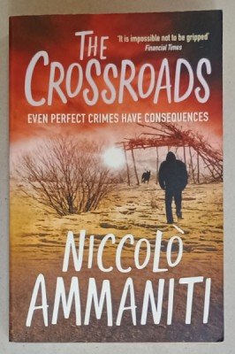THE CROSSROADS by NICCOLO AMMANITI , 2009 foto