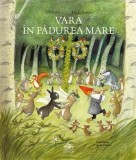 Vara in Padurea Mare - Cartea copiilor