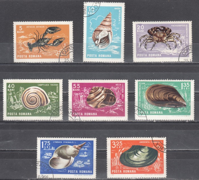 M1 TW 1 - 1966 - Crustacee si moluste