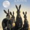 Watership Down &ndash; Richard Adams