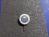 Insigna FC Bristol Rovers