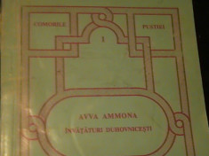 AWA AMMONA-INVATATURI DUHOVNICESTI-COMORILE PUSTIEI-SCHITUL ROMANESC PRODROMU- foto