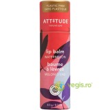 Balsam de Buze cu Aroma de Pepene Rosu 8.5g