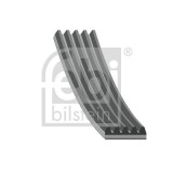 FEBI BILSTEIN 28856 Curea transmisie cu caneluri