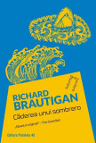 Căderea unui sombrero - Paperback brosat - Richard Brautigan - Paralela 45