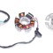 Stator aprindere, 6 bobine, 5 fire, Derbi Senda 2008 Cod Produs: MX_NEW AI22510B