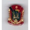 Insigna Brigadier UTC