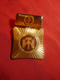 Medalie DDR - Muncim , Invatam pt Socialism , h=4,5cm metal si email