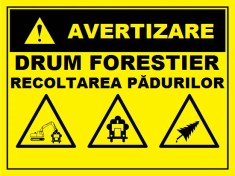 Placuta pentru drum forestier foto