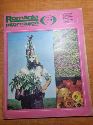 romania pitoreasca martie 1978-vatra dornei,popasuri din hunedoara foto