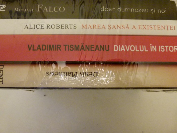 Diavolul in istorie - Vladimir Tismaneanu