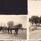 HST M592 Lot 2 poze trăsură birjă 1937 Rom&acirc;nia
