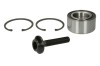 Set rulment roata VW PASSAT (3B3) (2000 - 2005) BTA H1A002BTA