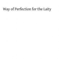 Way of Perfection for the Laity: A Detailed Explanation of the Discalced Carmelite Third Secular Order Rule