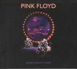Delicate Sound Of Thunder | Pink Floyd, Pink Floyd Records
