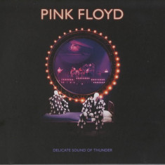 Delicate Sound Of Thunder | Pink Floyd