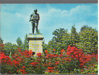 CPI B14393 CARTE POSTALA - VASLUI. MONUMENTUL EROILOR foto