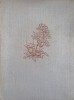 ES BLUHT IN DEN DOLOMITEN (FLORA MUNTILOR DOLOMITI IN LB. GERMANA)-ERNST SCHALOW-242307