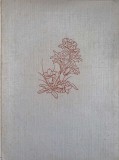 ES BLUHT IN DEN DOLOMITEN (FLORA MUNTILOR DOLOMITI IN LB. GERMANA)-ERNST SCHALOW-242307