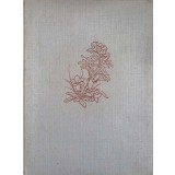 ES BLUHT IN DEN DOLOMITEN (FLORA MUNTILOR DOLOMITI IN LB. GERMANA)-ERNST SCHALOW-242307