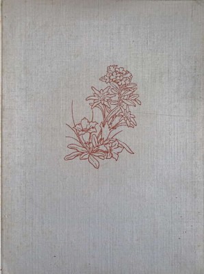 ES BLUHT IN DEN DOLOMITEN (FLORA MUNTILOR DOLOMITI IN LB. GERMANA)-ERNST SCHALOW-242307 foto