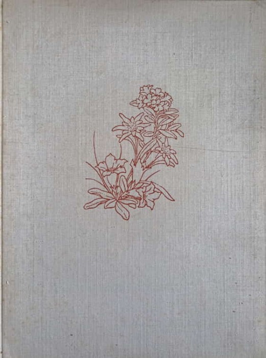 ES BLUHT IN DEN DOLOMITEN (FLORA MUNTILOR DOLOMITI IN LB. GERMANA)-ERNST SCHALOW-242307