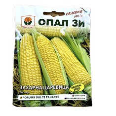 Seminte porumb dulce zaharat Golden Batam 10 gr, OpalZi Bulgaria