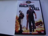 The rock - walking tall