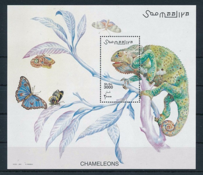 Somalia 2001 - Cameleon, fluturi, colita neuzata