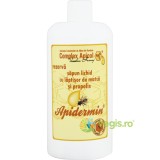 Sapun Lichid (Rezerva) cu Laptisor de Matca si Propolis Apidermin 500ml