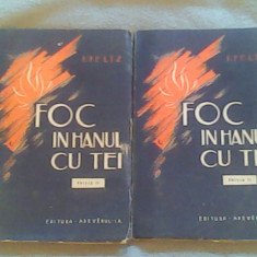 Foc in hanul cu tei (vol I-II)-I.Peltz