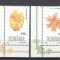 ROMANIA 1998 LP 1466 FLORA SERIE MNH