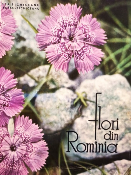 Rodica Rarau Bichiceanu - Flori din Romania (Editia: 1964)