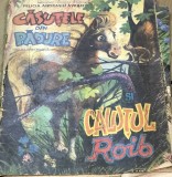 ELVI02 0442 Casuta din Padure si Cutul Roib