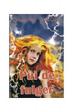 Pui de fulger - Paperback brosat - Pavel Coru&Egrave; - Editura Pavel Coru&Aring;&pound;