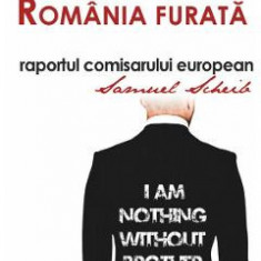 Romania furata - Sergiu Ciocarlan